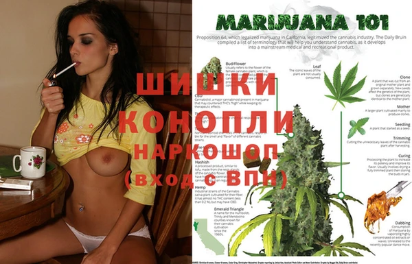 меф Арсеньев