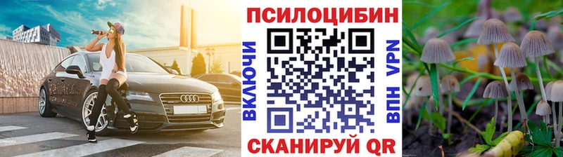 Псилоцибиновые грибы GOLDEN TEACHER где найти наркотики Старый Крым