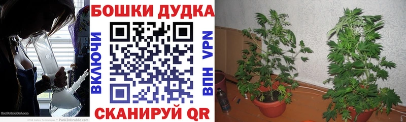 дарнет шоп  Старый Крым  Канабис тримм 